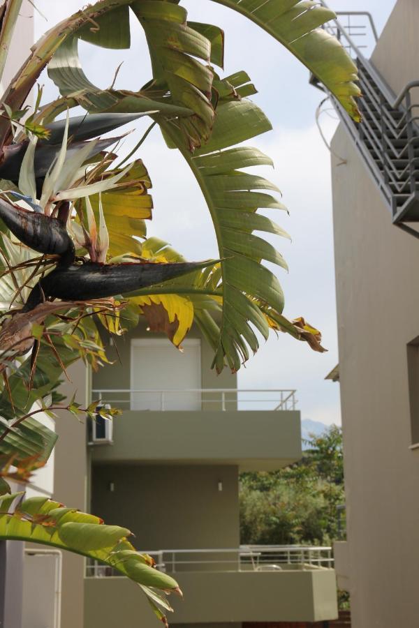 Kamares Apts - Antonis Cozy Maisonette 하니아 외부 사진